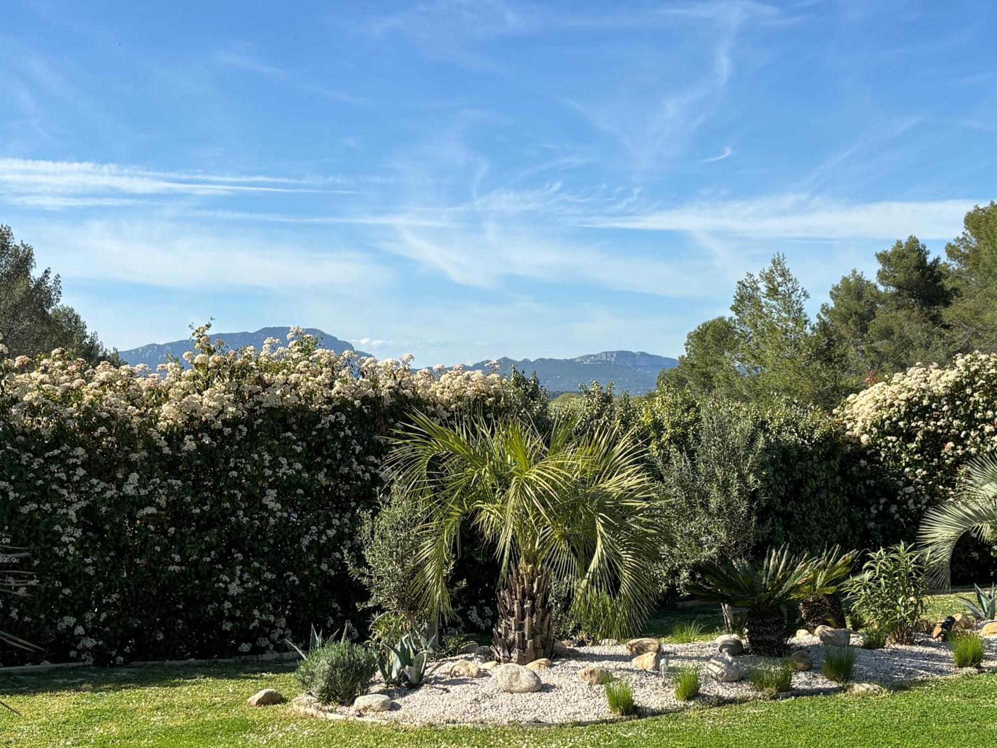 Joli Havre De Paix Villa Prades-le-Lez Exterior photo